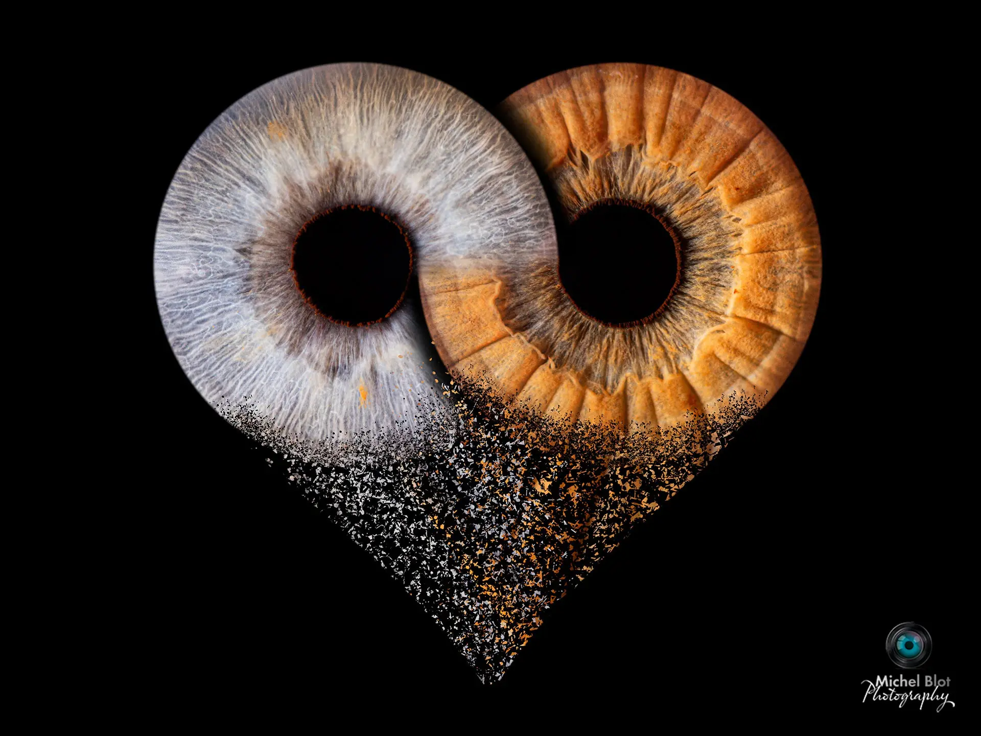 Photo d'IRIS dispersion coeur